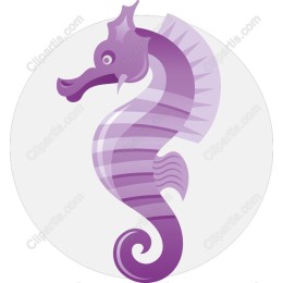 Purple Seahorse