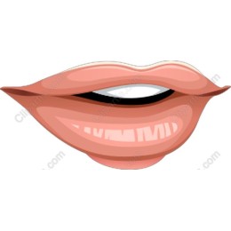 Stylized Expressive Lips