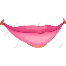 Vibrant Pink Lip
