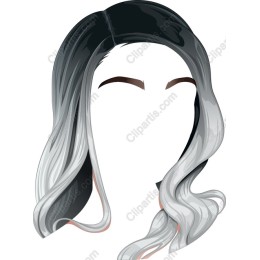 Chic Ombre Hair
