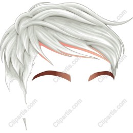 Stylish Short Silver Hairstyle