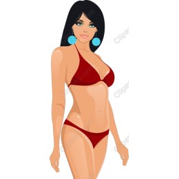 Elegant Summer Bikini