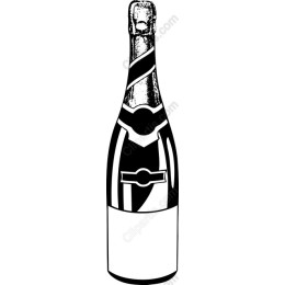 Elegant Champagne Bottle
