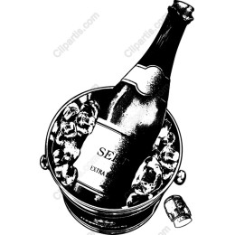 Elegant Champagne Bottle in Ice Bucket