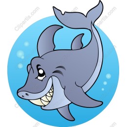 Cartoon Shark