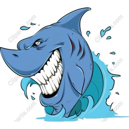 Vibrant Shark
