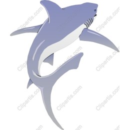 Dynamic Shark