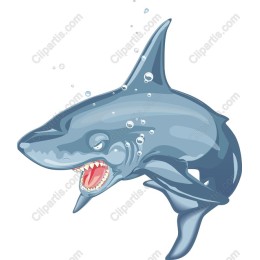 Fierce Shark