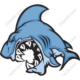 Shark Attack