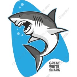 Great White Shark