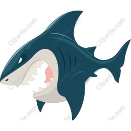 Fierce Shark