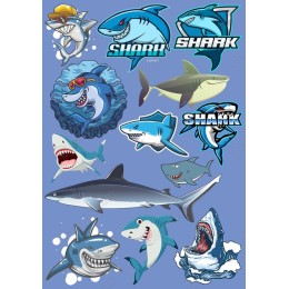 Shark Bundle - High-Quality
