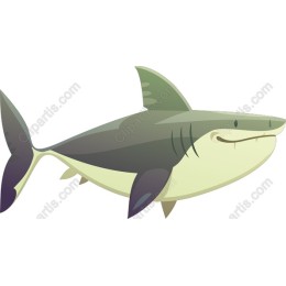 Playful Shark