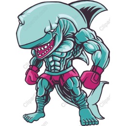 Muscle Shark Boxing Champion