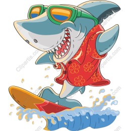 Surfing Shark