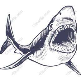 Fierce Shark