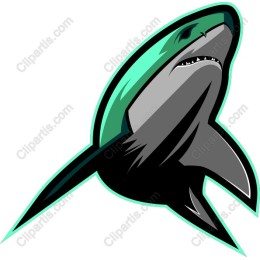 Shark