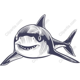 Charming Shark