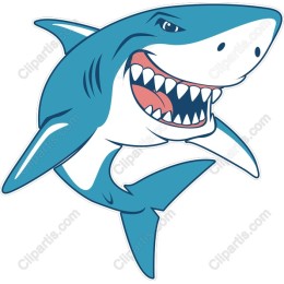 Cheerful Shark