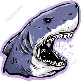 Shark Head