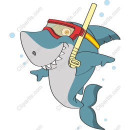 Playful Shark Snorkeling