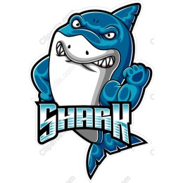 Shark - Bold and Playful