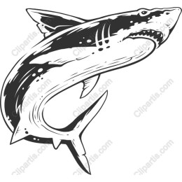 Fierce Shark