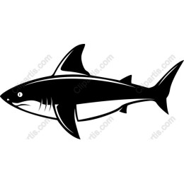 Bold Shark