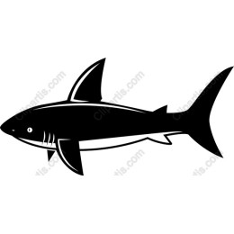 Bold Shark