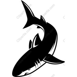 Dynamic Shark