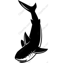 Fierce Shark