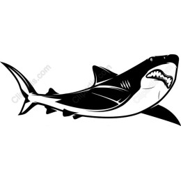 Fierce Shark