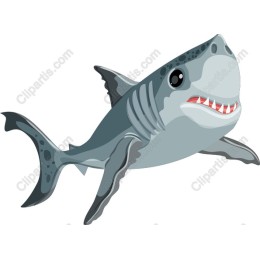 Vibrant Shark