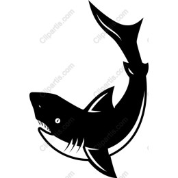 Fierce Shark