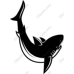Bold Black Shark