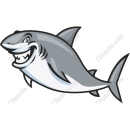 Cartoon Shark