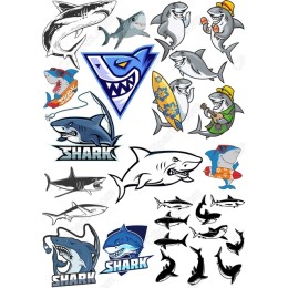 Shark Bundle - Collection