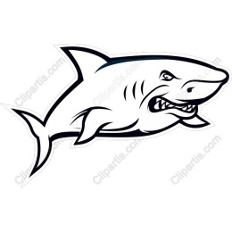 Fierce Shark