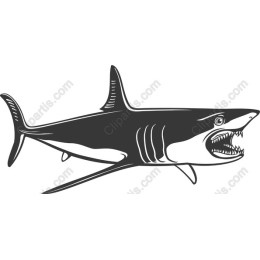 Fierce Shark