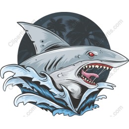 Shark Attack