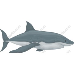 Majestic Shark