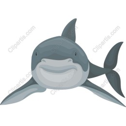 Friendly Shark