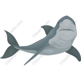 Majestic Shark