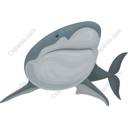 Shark in and