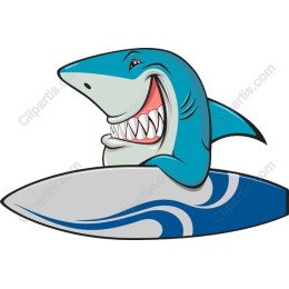 Playful Shark Surfing