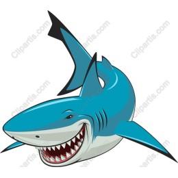Vibrant Blue Shark