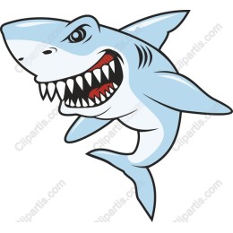 Fierce Cartoon Shark