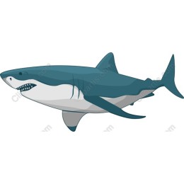 Shark