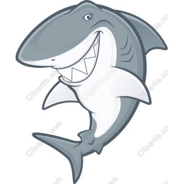 Playful Shark