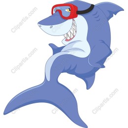 Playful Shark